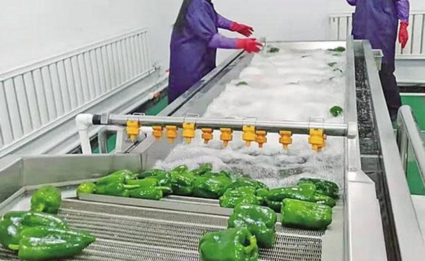 食品输送带：水果进行加工生产线怎么能够避免二次环境污染?