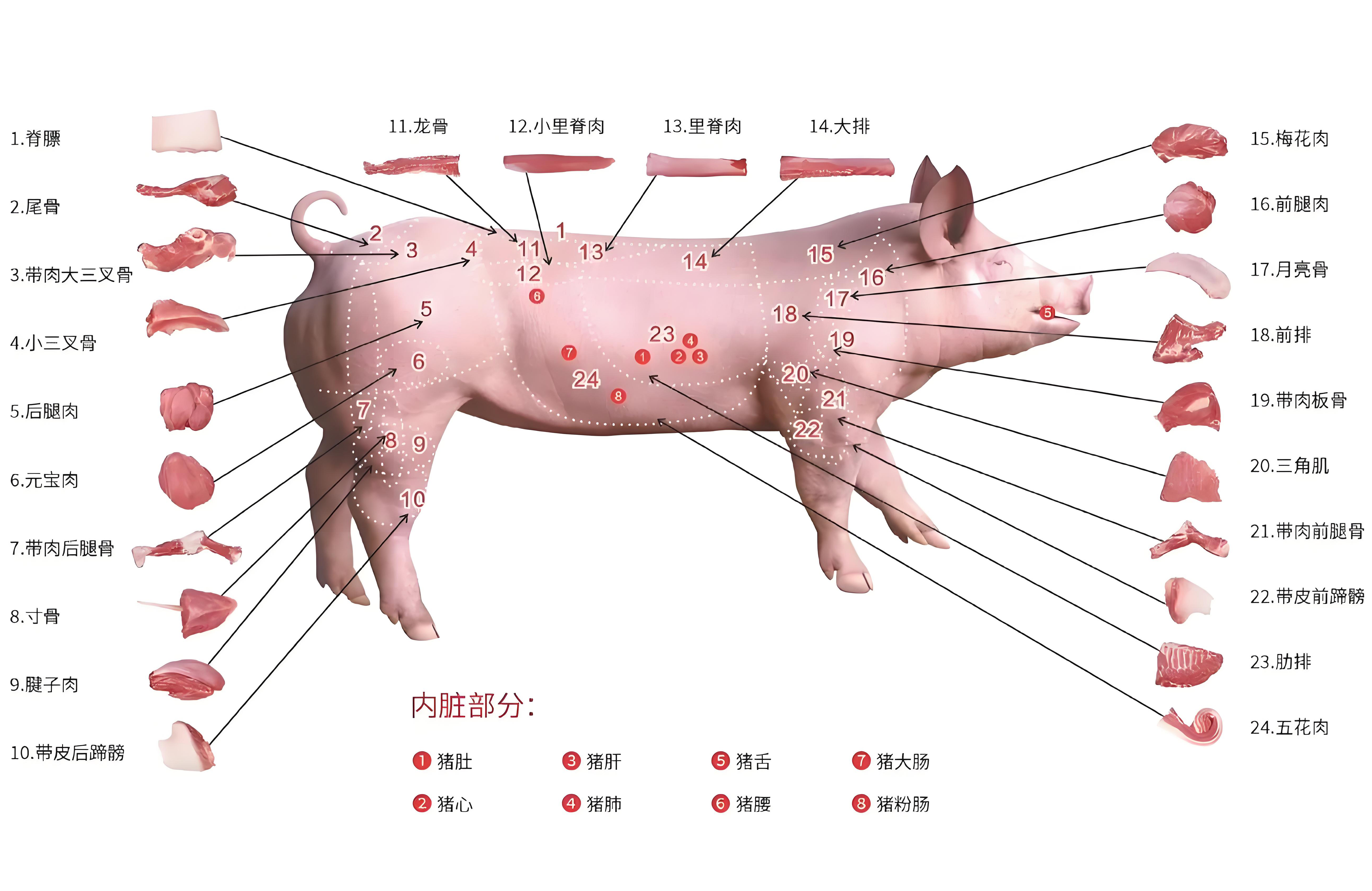 肉类分割整厂生产线