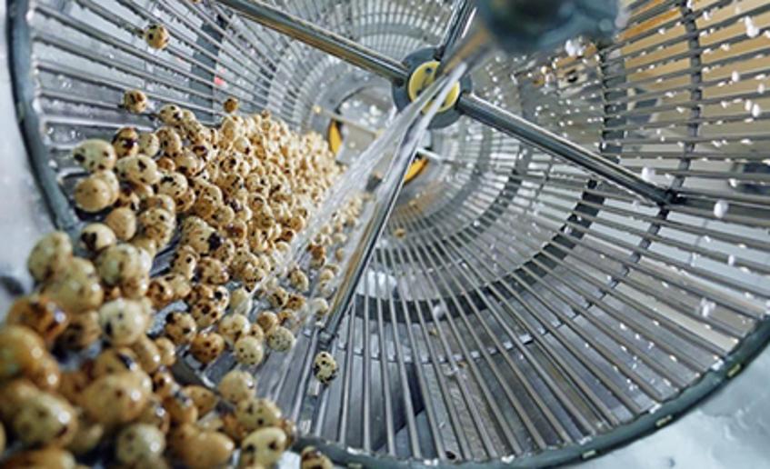 走进盐津铺子：揭秘中国零食背后的全产业链实力