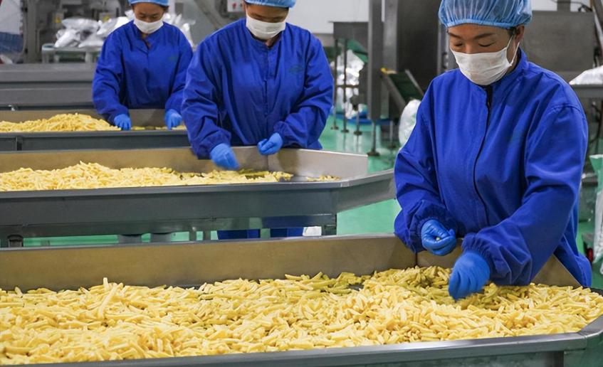 龙庆生物科技：打造高效土豆生产线，助力生鲜蔬菜分拣提质增效