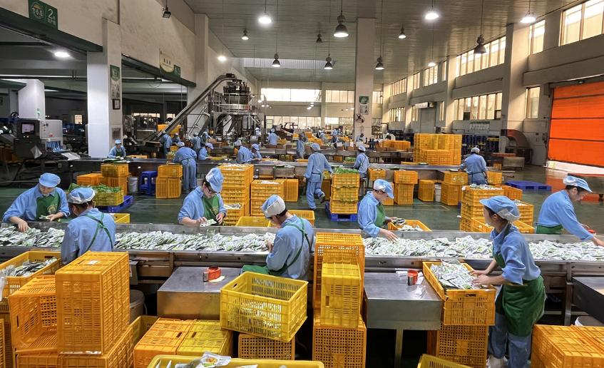 食品设备清洗与消毒工艺的优化与实践（上)