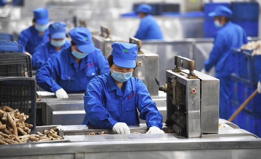 数智化中医药产线将为中国医药添动力