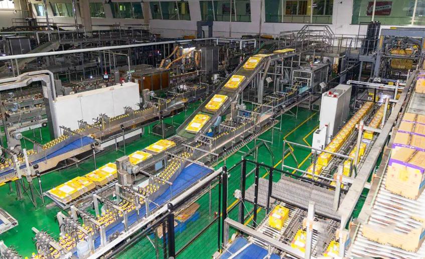 1小时下线48000瓶饮料 武汉顶津生产线迎战消费旺季